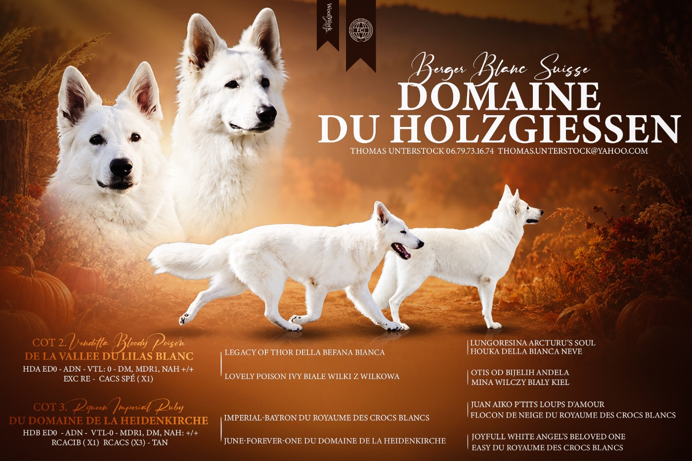 Chiots à naître